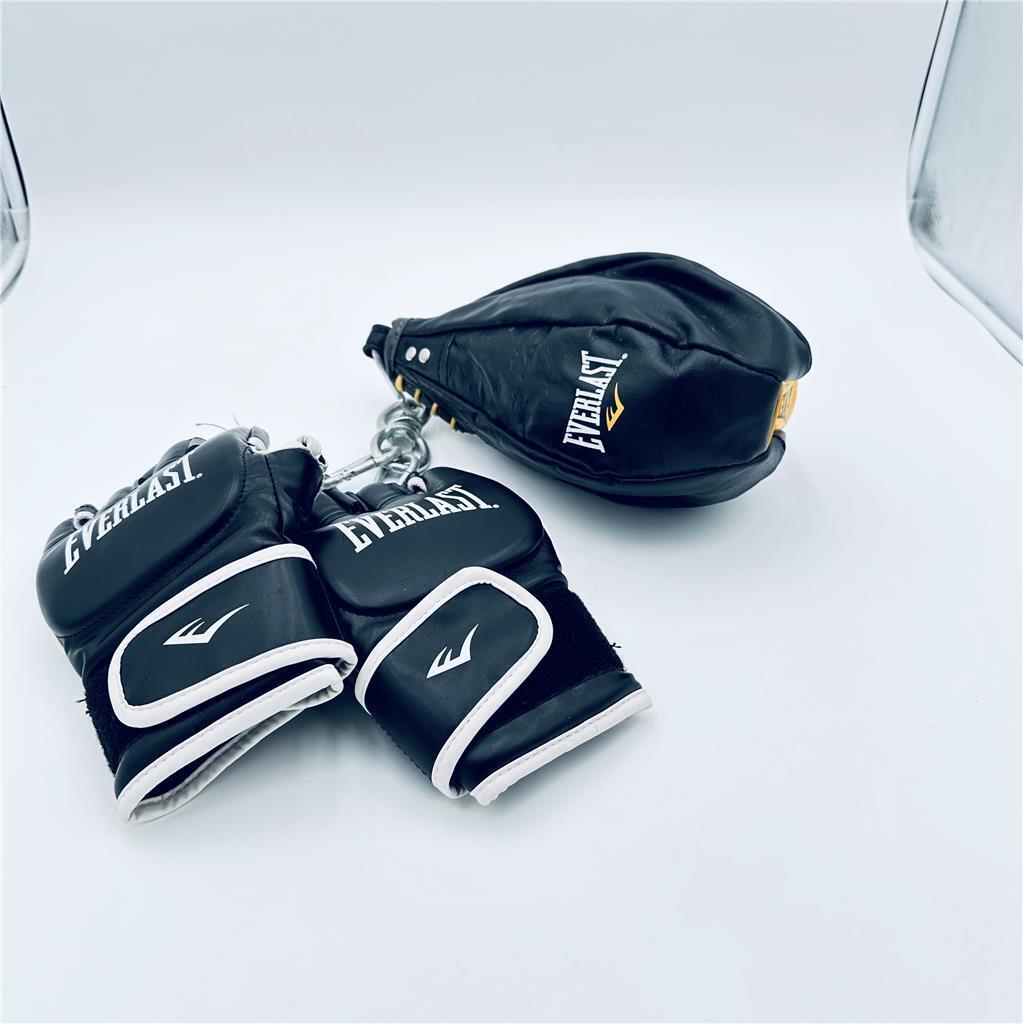 Everlast speed bag, gloves and stand