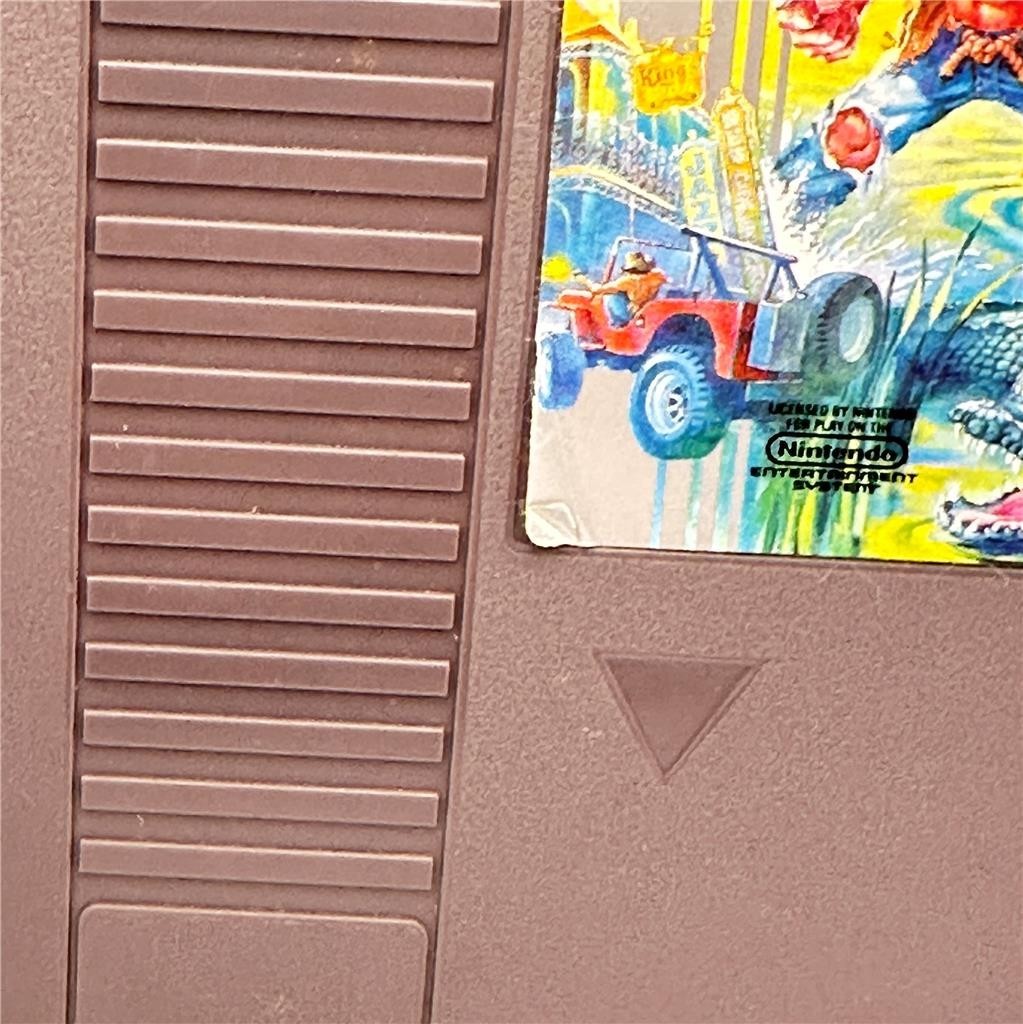 Adventures of Bayou Billy (Nintendo NES, 1989) CIB Compleate